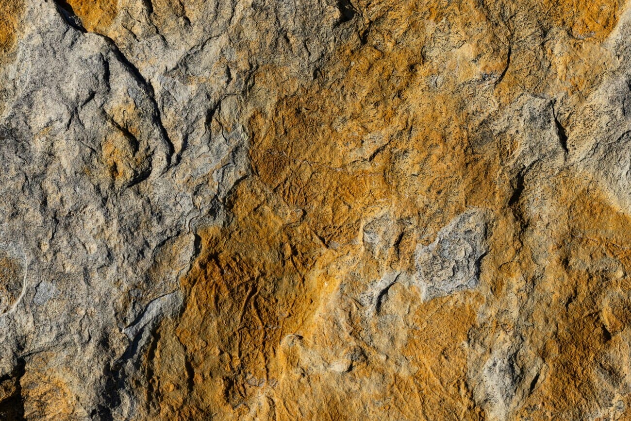 Alchimia supraviețuirii: Cum să faci din rahat bici? - OanaPustiu.com